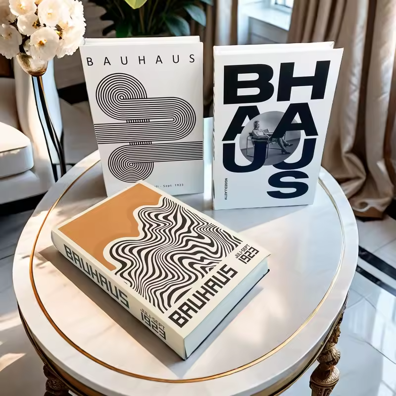Aesthetic Lounge Fake Bauhaus Cover Storage Vintage Books for Decorating